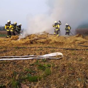 IMG-20181011-WA0019.jpg
