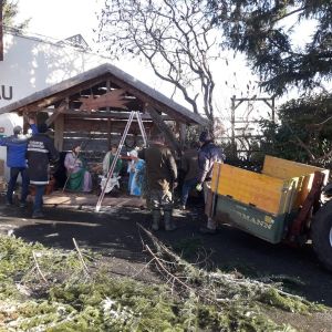 20231203-Aufbauen-der-Weihnachtskrippe