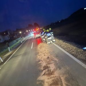 20240209-oelbindearbeiten